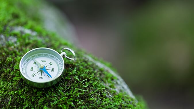 Close-up of a compass on a moss-covered log.  Focus on the north direction.